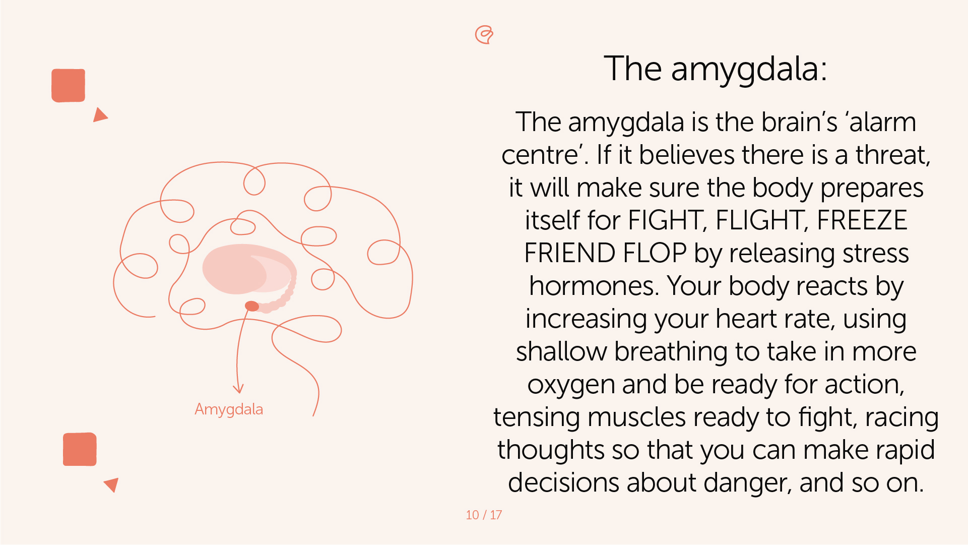 The Impact of Trauma on the Brain