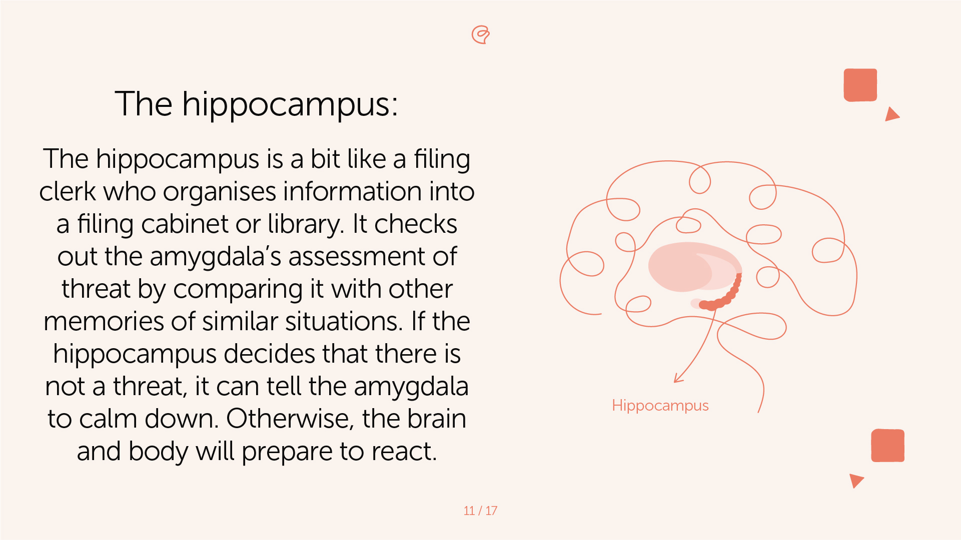 The Impact of Trauma on the Brain